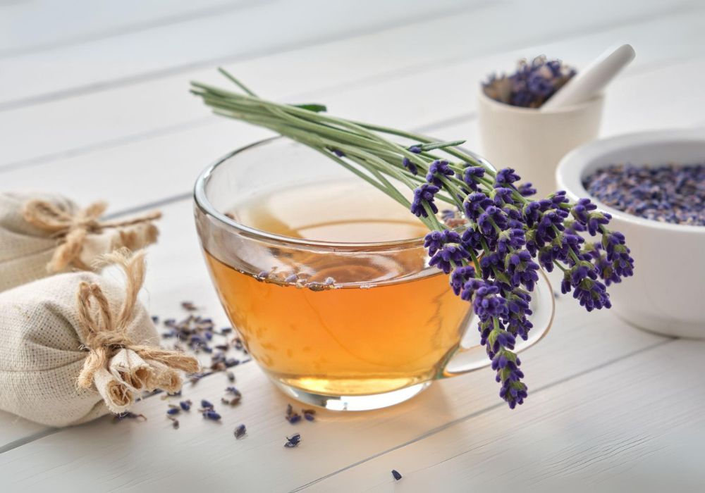Uma xícara com chá de lavanda e um ramo da planta de lavanda, em cima do da xícara de forma atravessada.