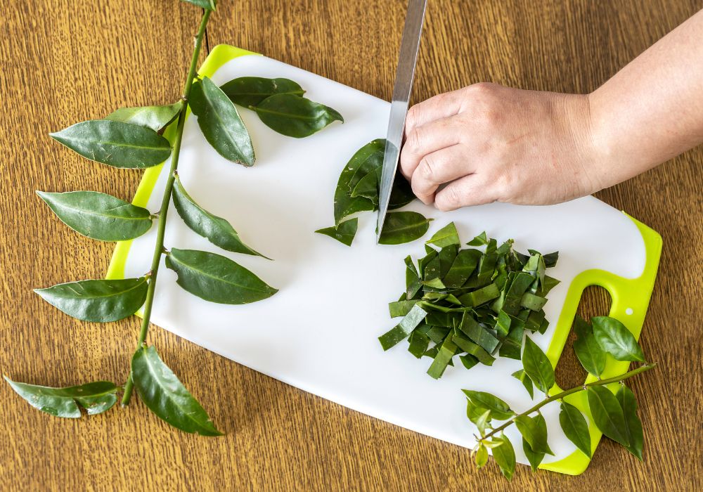 Como Preparar O Ch De Ora Pro N Bis Ch E Sabedoria Plantas E Ervas Medicinais