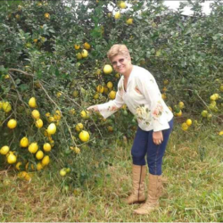 Dona em ummpomar.