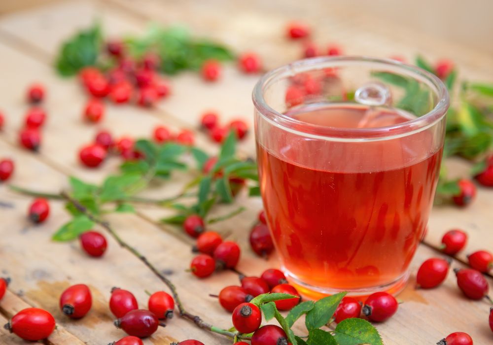 Uma xícara grande de vidro com chá de rosa mosqueta e ao redor, galhos com folhas e frutos de rosa mosqueta.