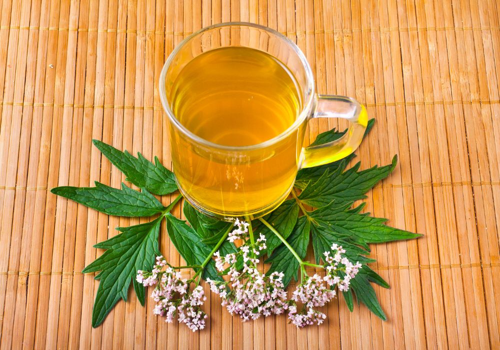 Uma xícara de chá com chá de valeriana e algumas folhas e flores de valeriana ao lado.