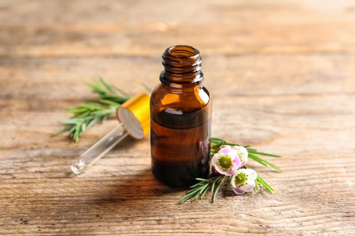 Um vidro de conta gotas pequeno com Óleo de Melaleuca para o tratamento de sarna; e algumas folhas e flores de melaleuca ao lado.