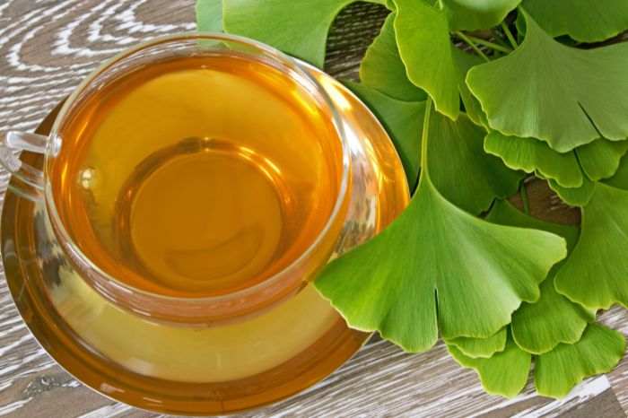 Uma xícara com chá de Ginkgo Biloba e algumas folhas frescas da planta ao lado. Indicado para não ter o famoso "branco"na hora da prova do ENENM..