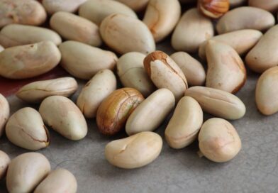 Quais os benefícios do Caroço de Jaca?